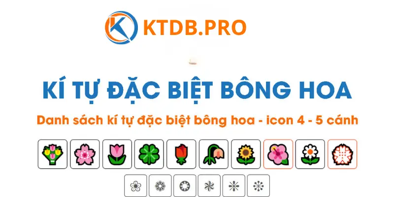 ki-tu-dac-biet-bong-hoa (2)