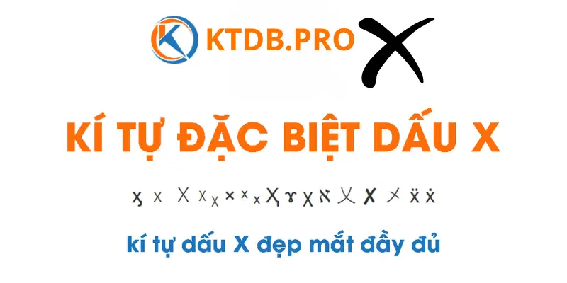 ki-tu-dac-biet-dau-x-dep-mat (2)